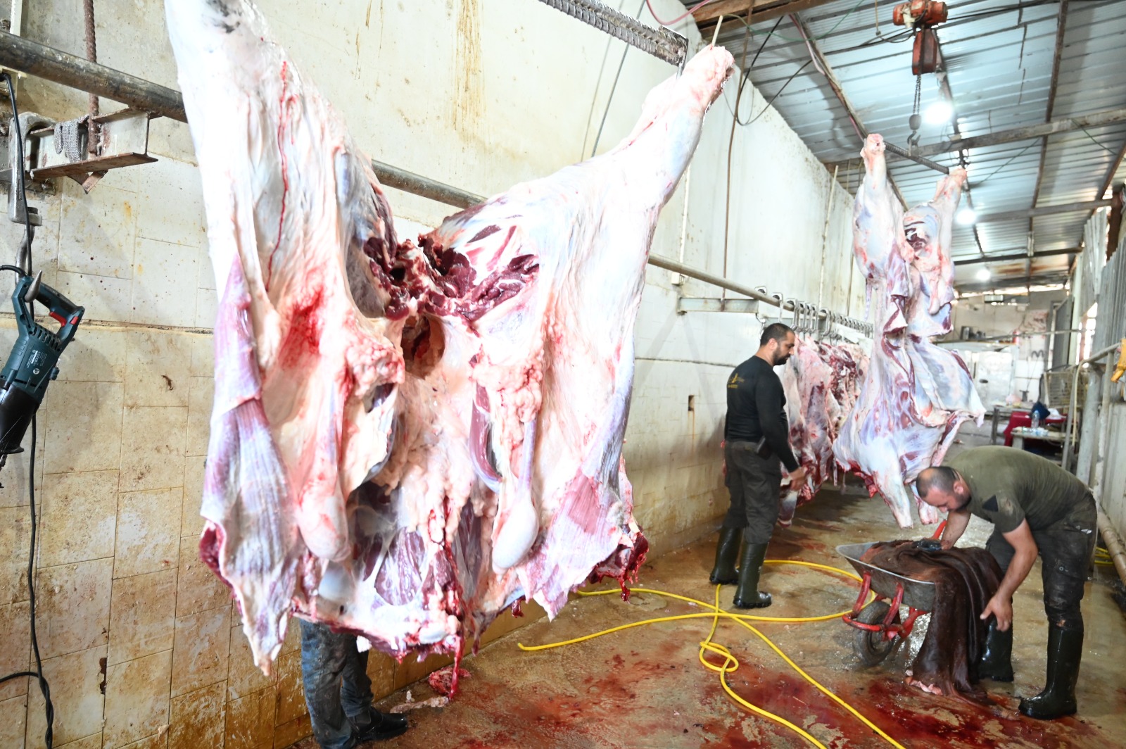 WhatsApp Image 2022-07-09 at 7.18.34 PM (3).jpeg